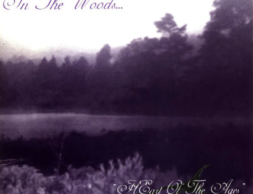 In the Woods… Heart of the Ages